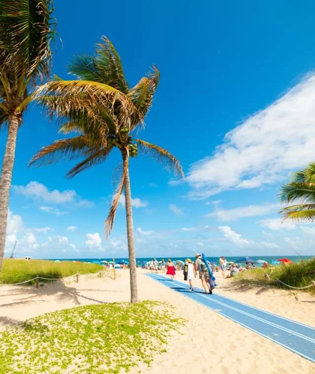 A sunny beach scene with palm trees, blue skies, and people walking along a path leading to the ocean.