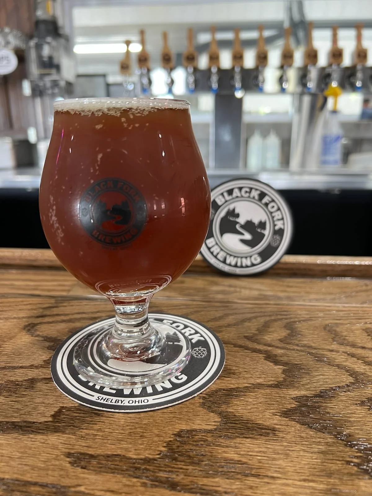 Craft beer served in a glass at Black Fork Brewing