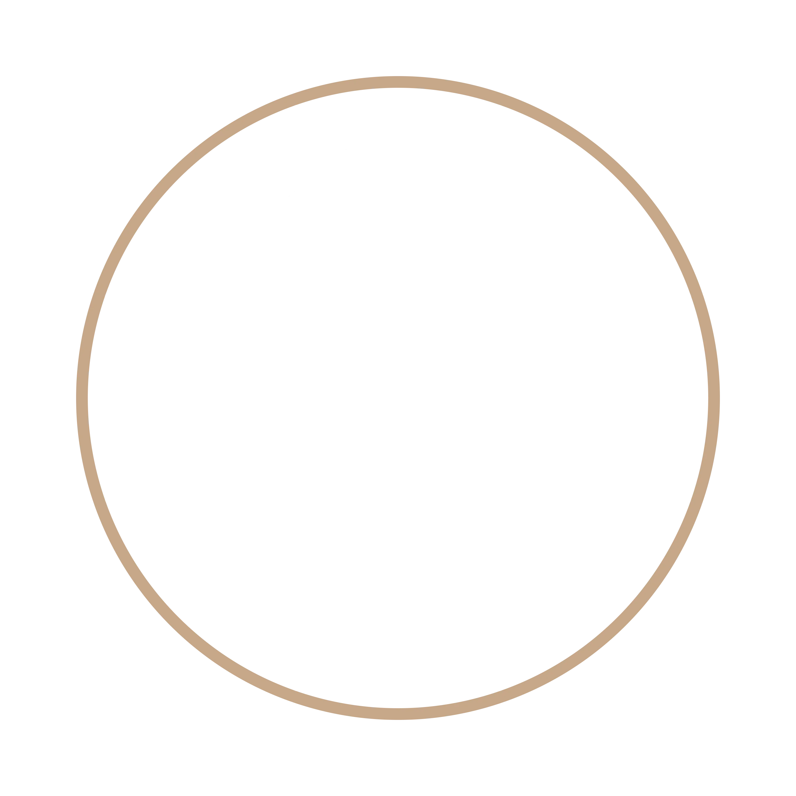Icon of a folder with documents and a user profile illustration