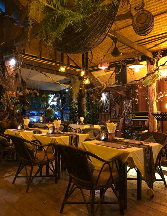 Cozy restaurant interior with warm lighting and natural decor