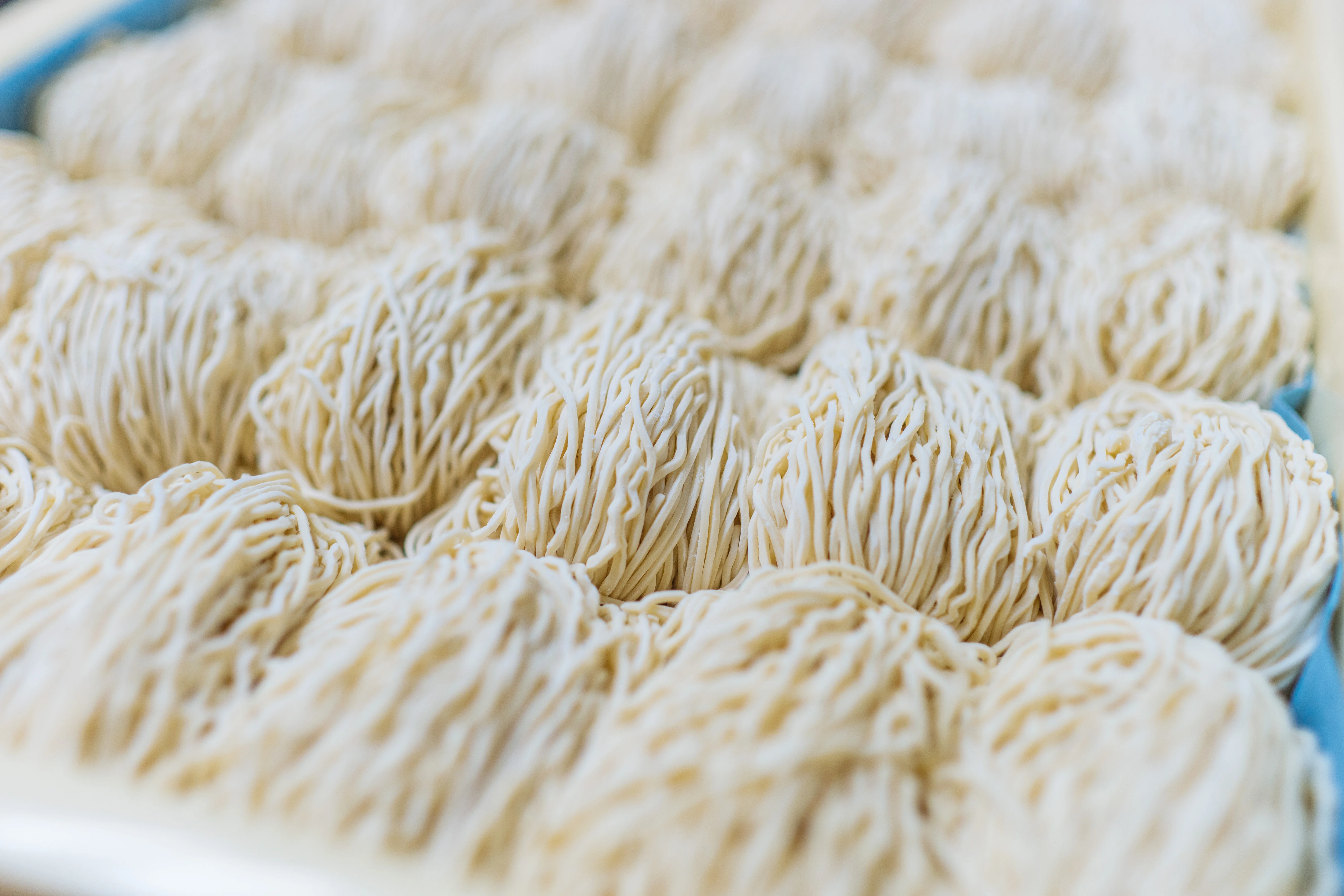 Freshly made Chinese egg noodles