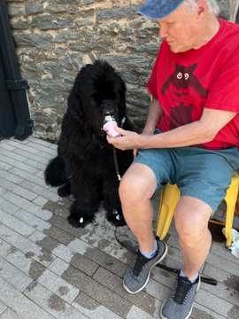Photo from Cheryl S.'s review