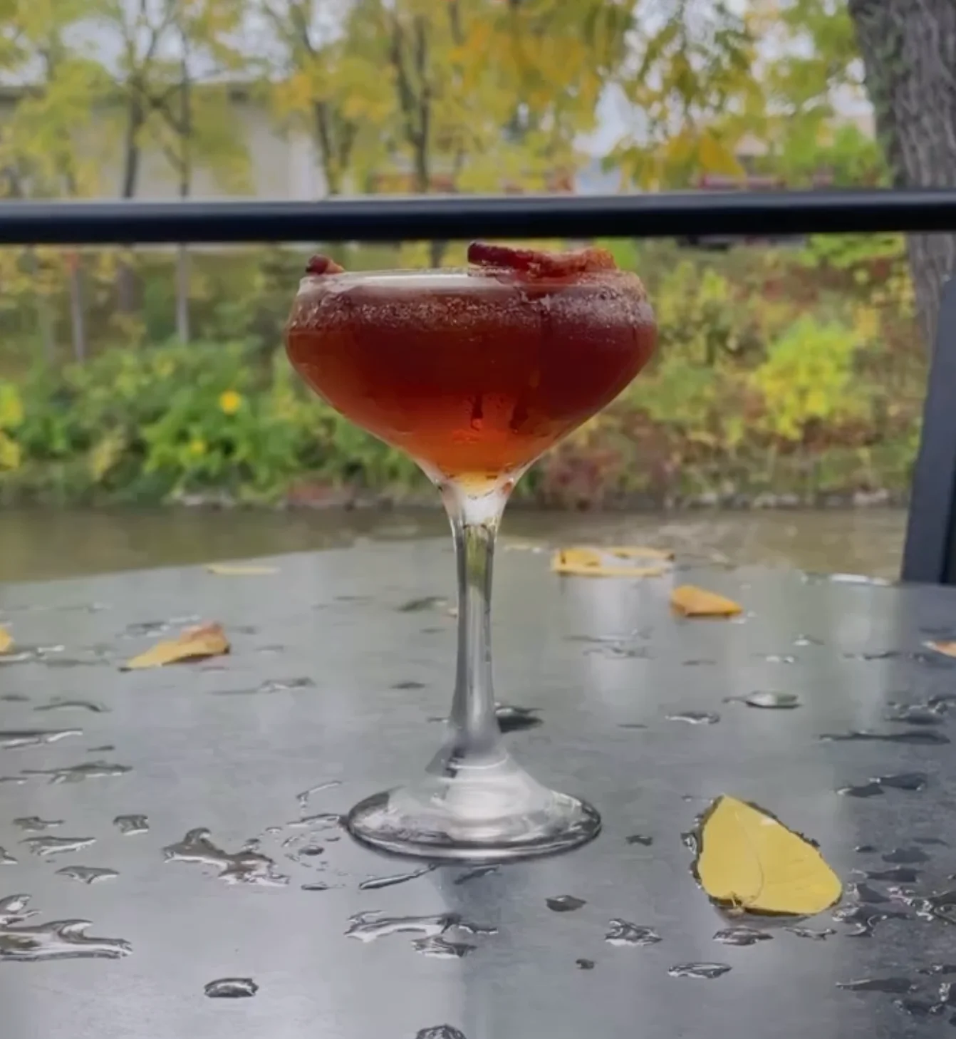 Apple Cider cocktail with fall leaves in the back