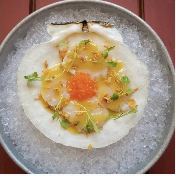 Maine Scallop Crudo