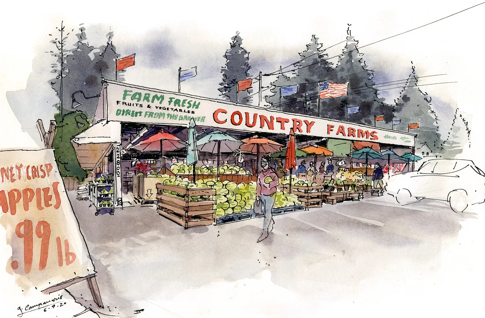 An outdoor market stall named 'Country Farms' featuring a variety of fruits and vegetables, with watermelons prominently displayed under large umbrellas.