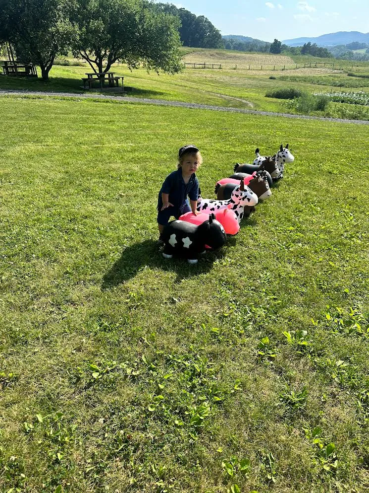 Child playing with inflatable toy animals in a sunny field