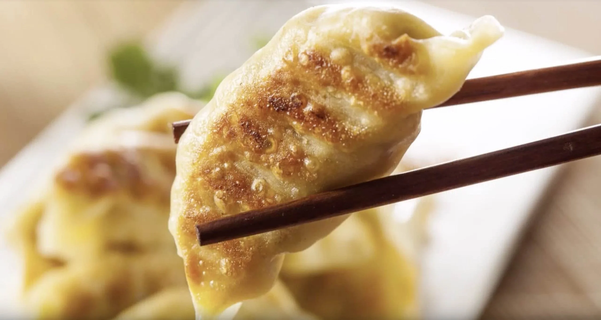 Crispy Japanese gyoza dumpling held with chopsticks