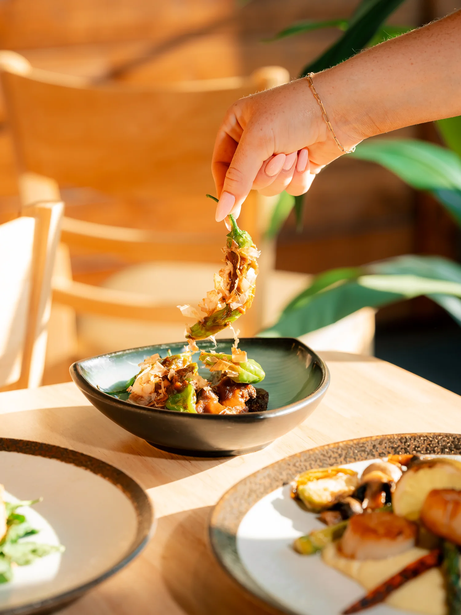 Japanese katsu don with crispy pork and green onions