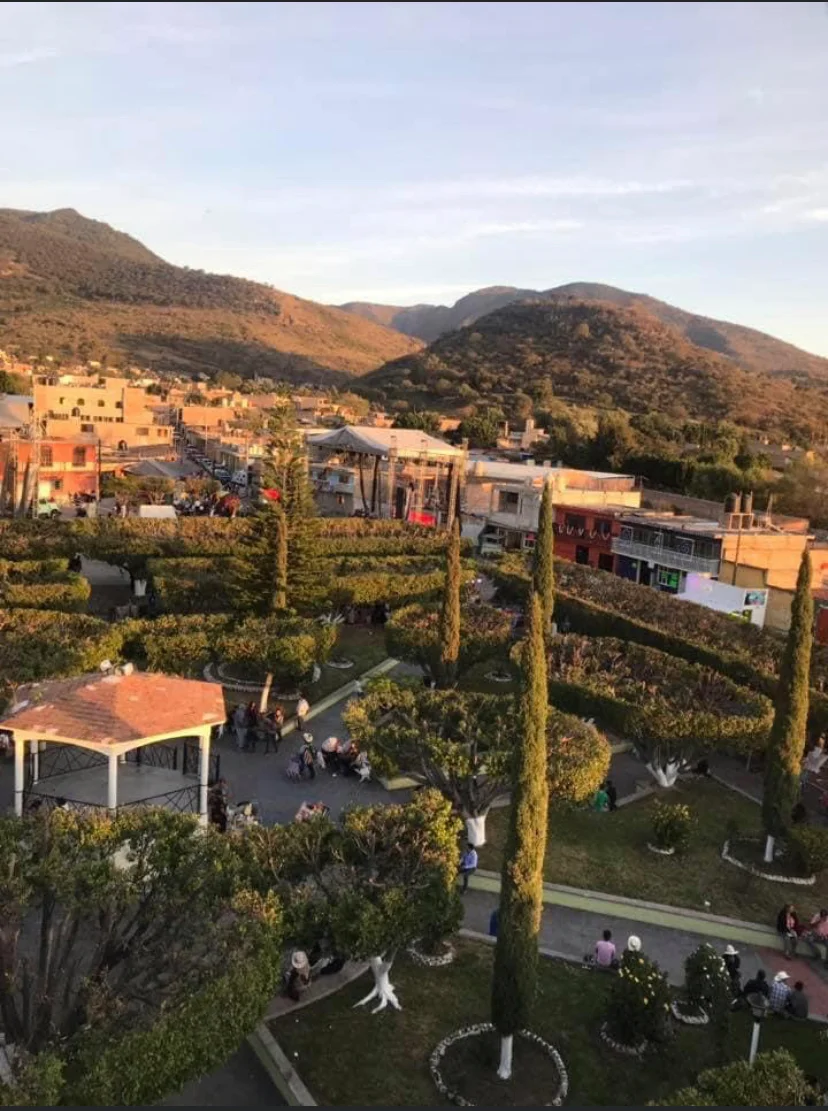 A scenic view of a park with neatly trimmed hedges and trees, surrounded by mountains and buildings. People are seen enjoying the space.
