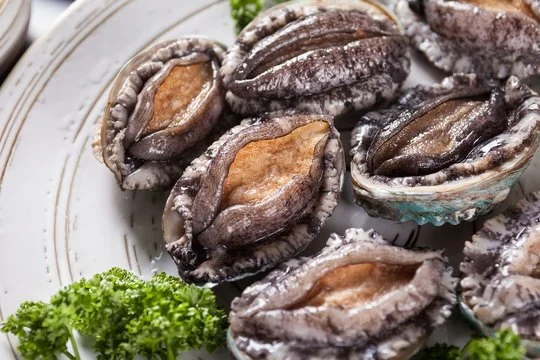 Freshly prepared abalone served on a plate