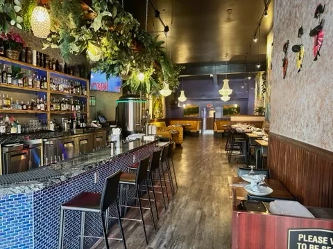 Castro Indian Restaurant bar with blue tile, hanging greenery and counter seating
