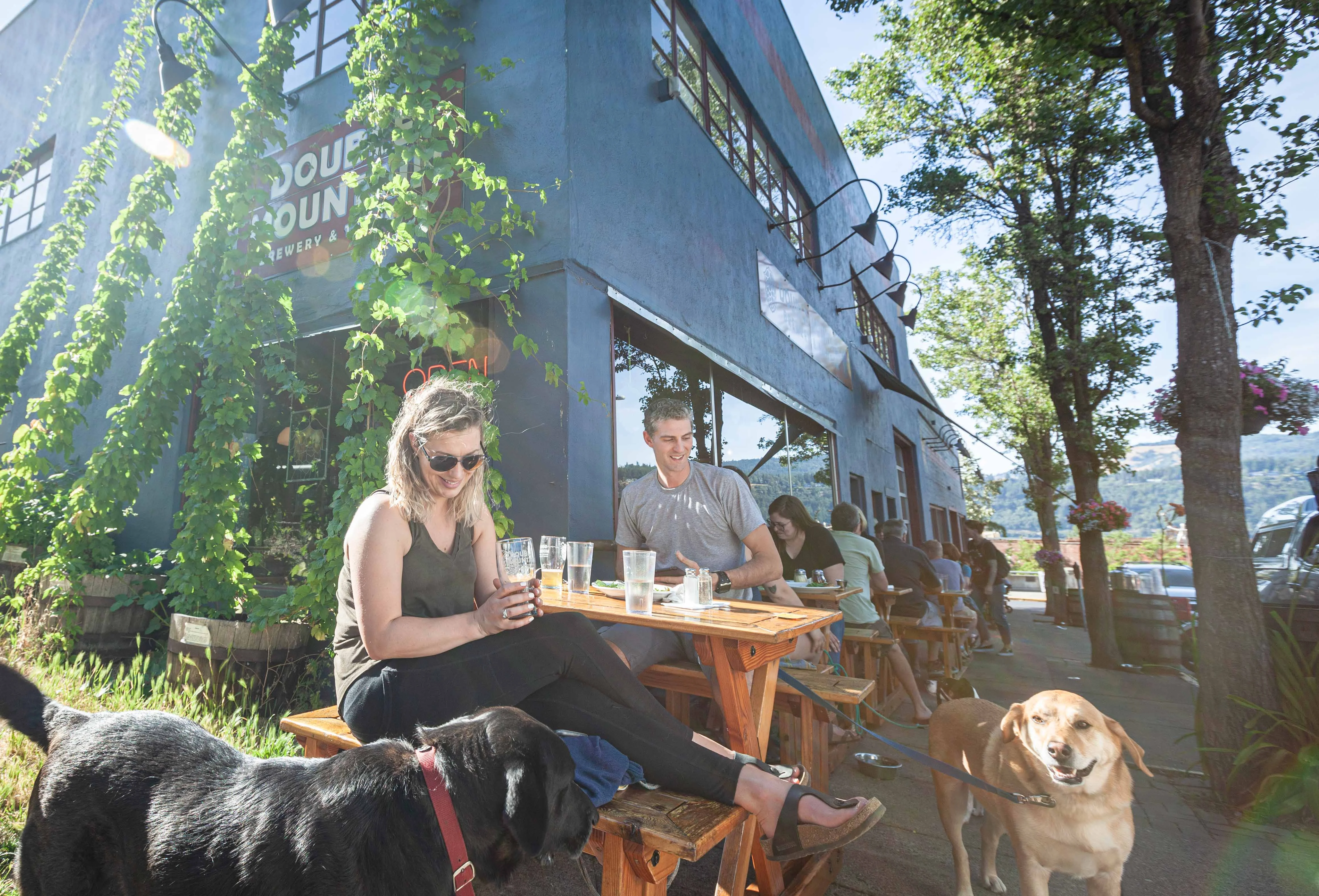 Outdoor dining at a brewery with patrons and dogs