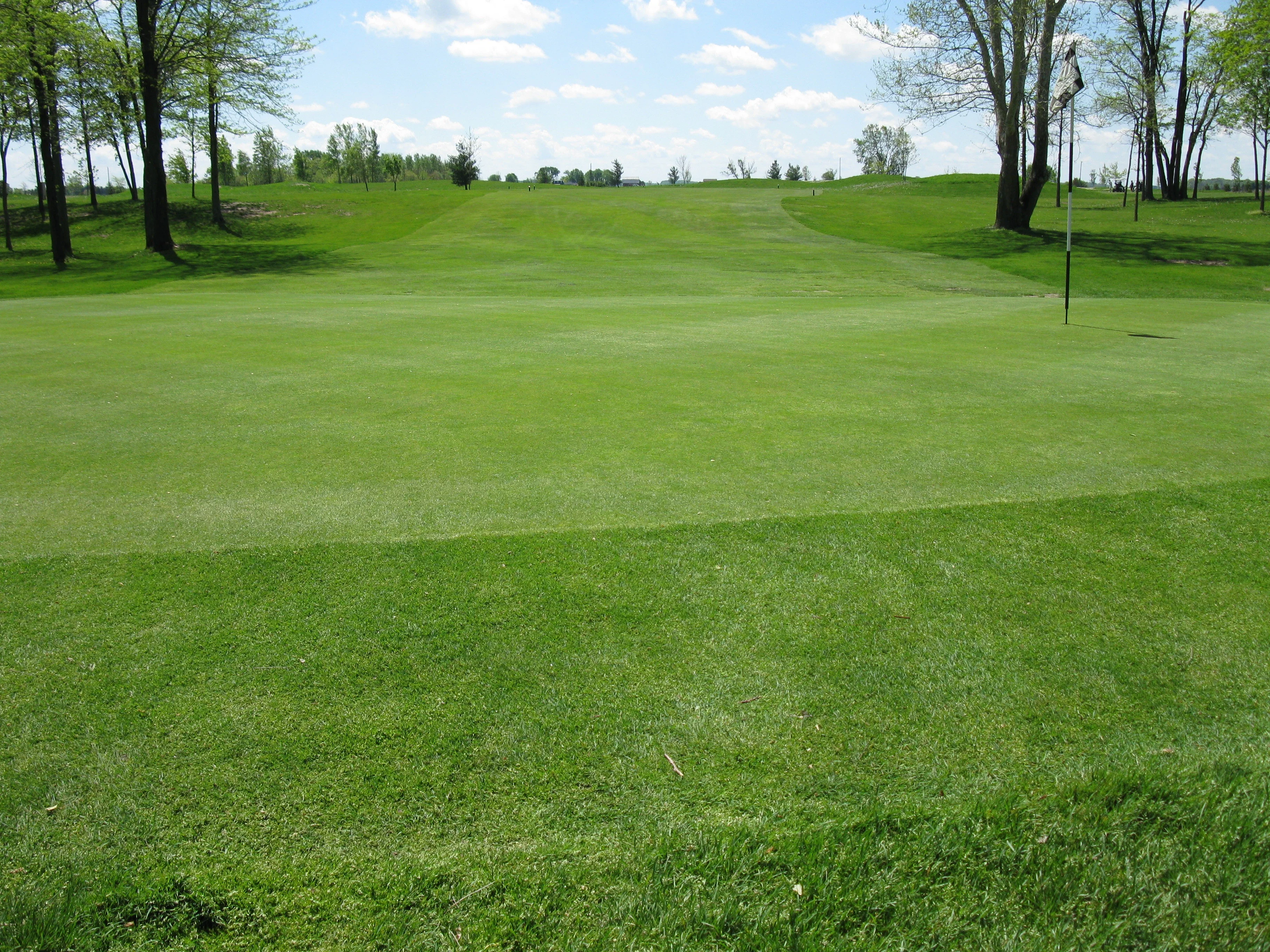 Lush green golf course with trees and blue sky