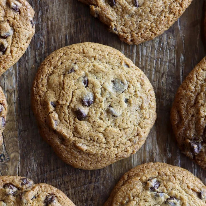 Chocolate Chip