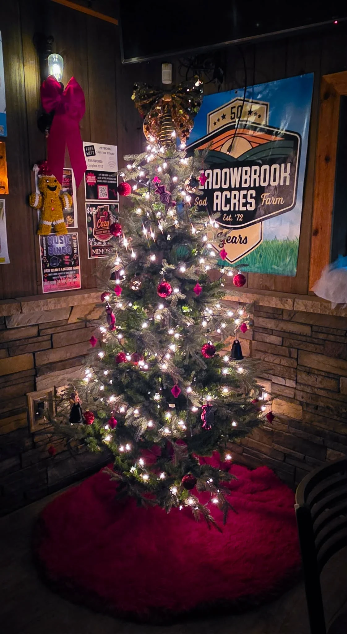 Cozy Inn Fight Night logo, Brighton Michigan, featuring UFC gloves.