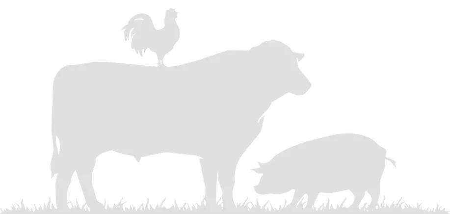 Silhouettes of farm animals: cow, pig, and rooster on grass