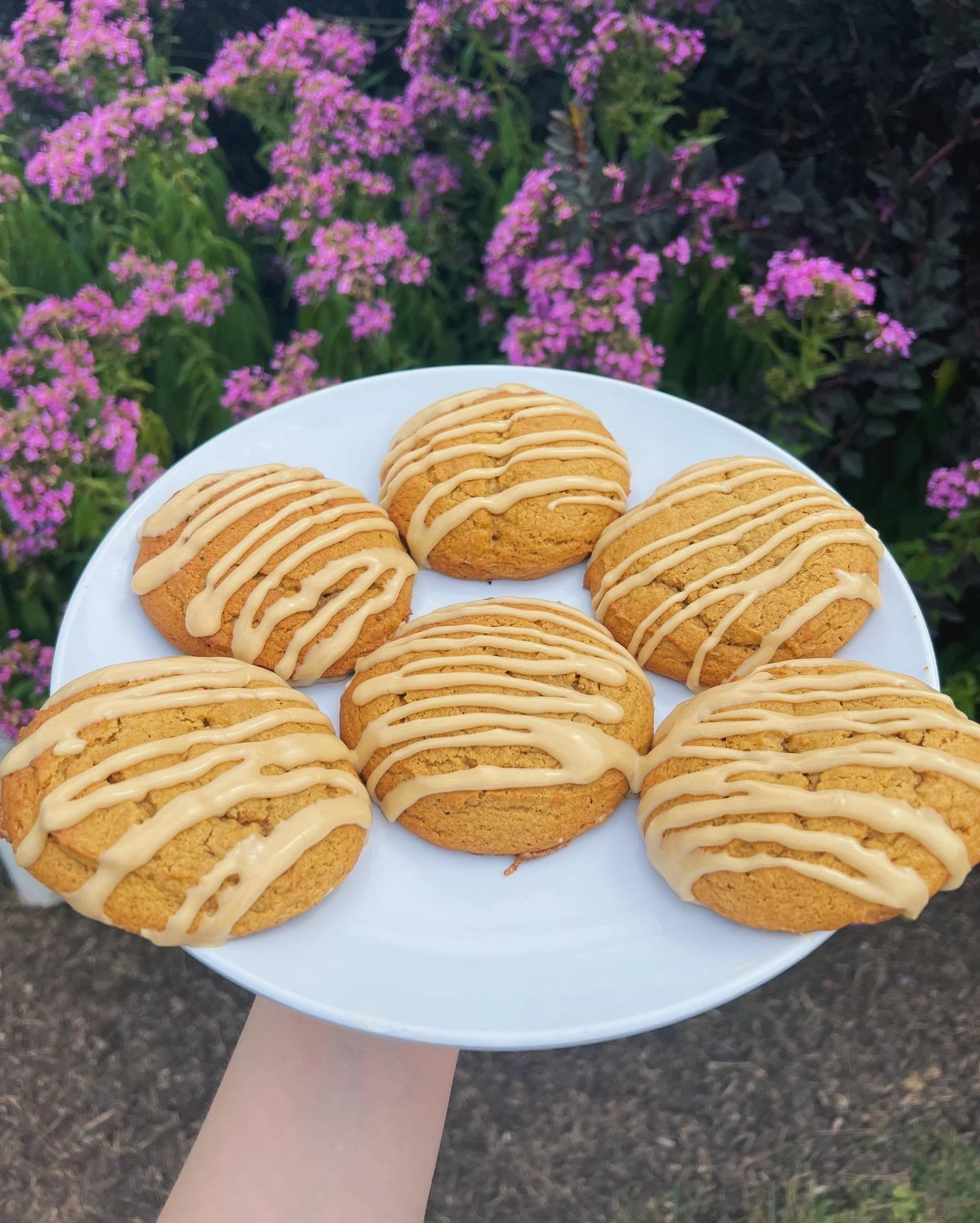 Pumpkin Cookie