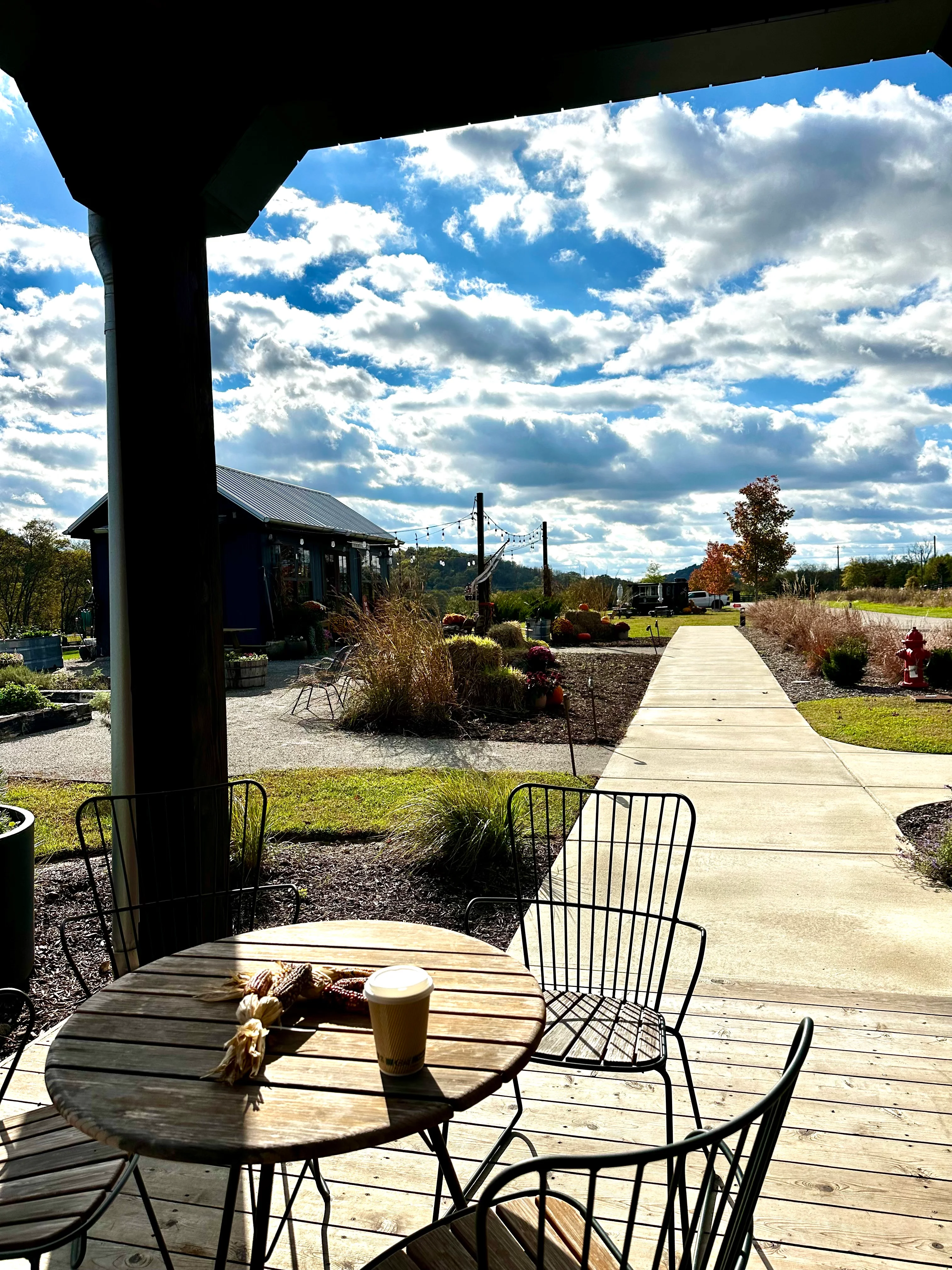 Outdoor seating area with coffee and autumn scenery