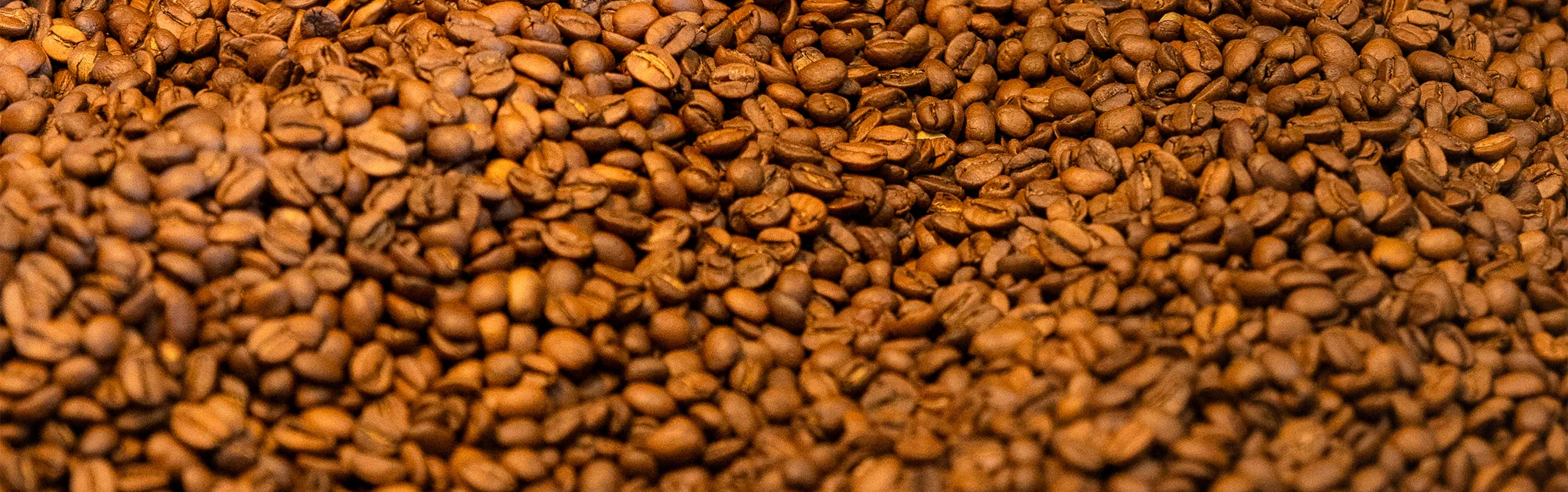 Daily Rise Coffee Downtown