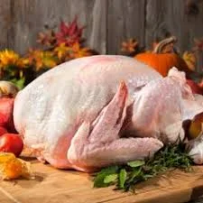 Whole turkey ready for Thanksgiving feast