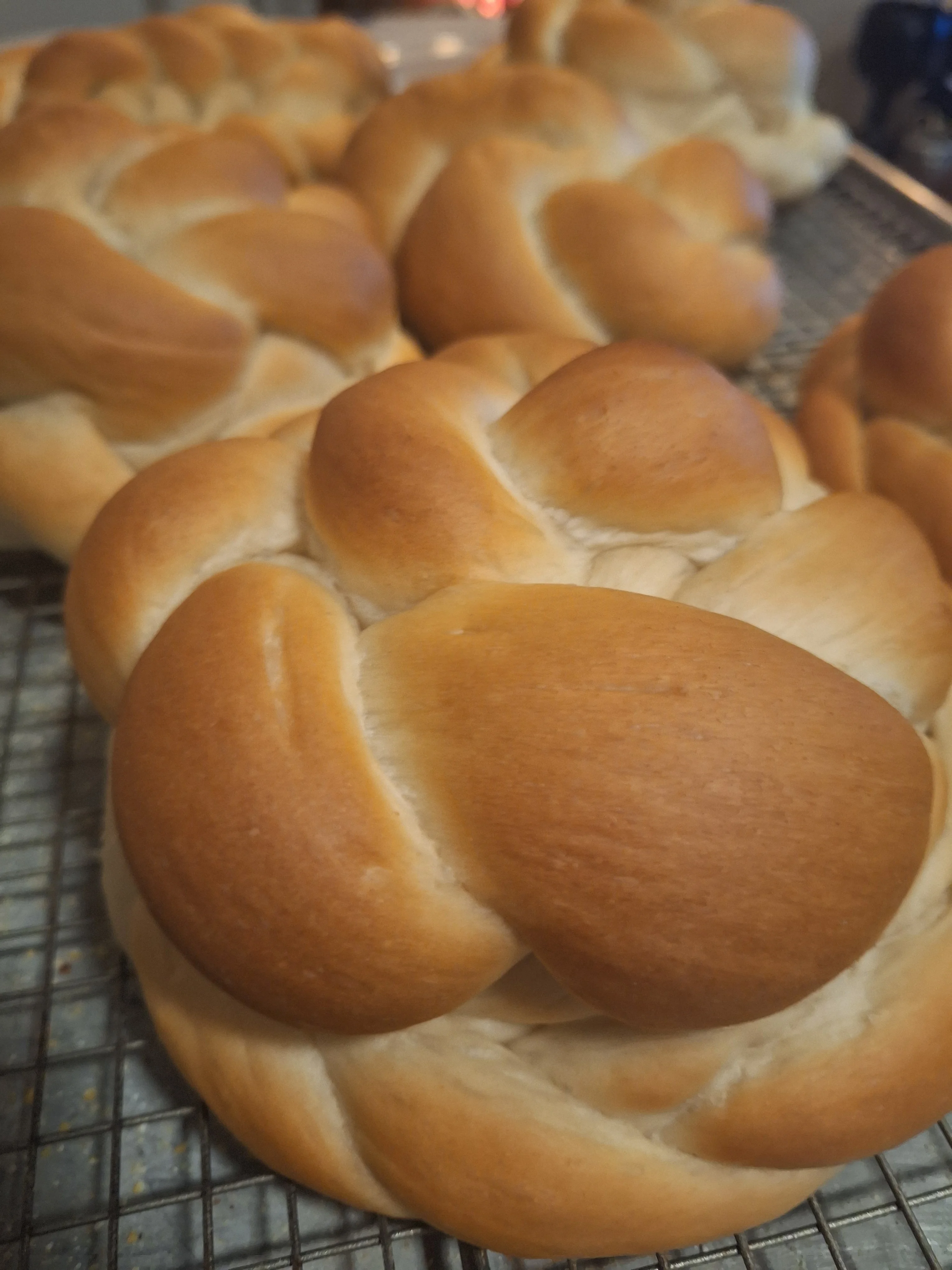 Freshly baked challah bread loaves cooling on a rack