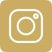 Simple globe icon on a gold background