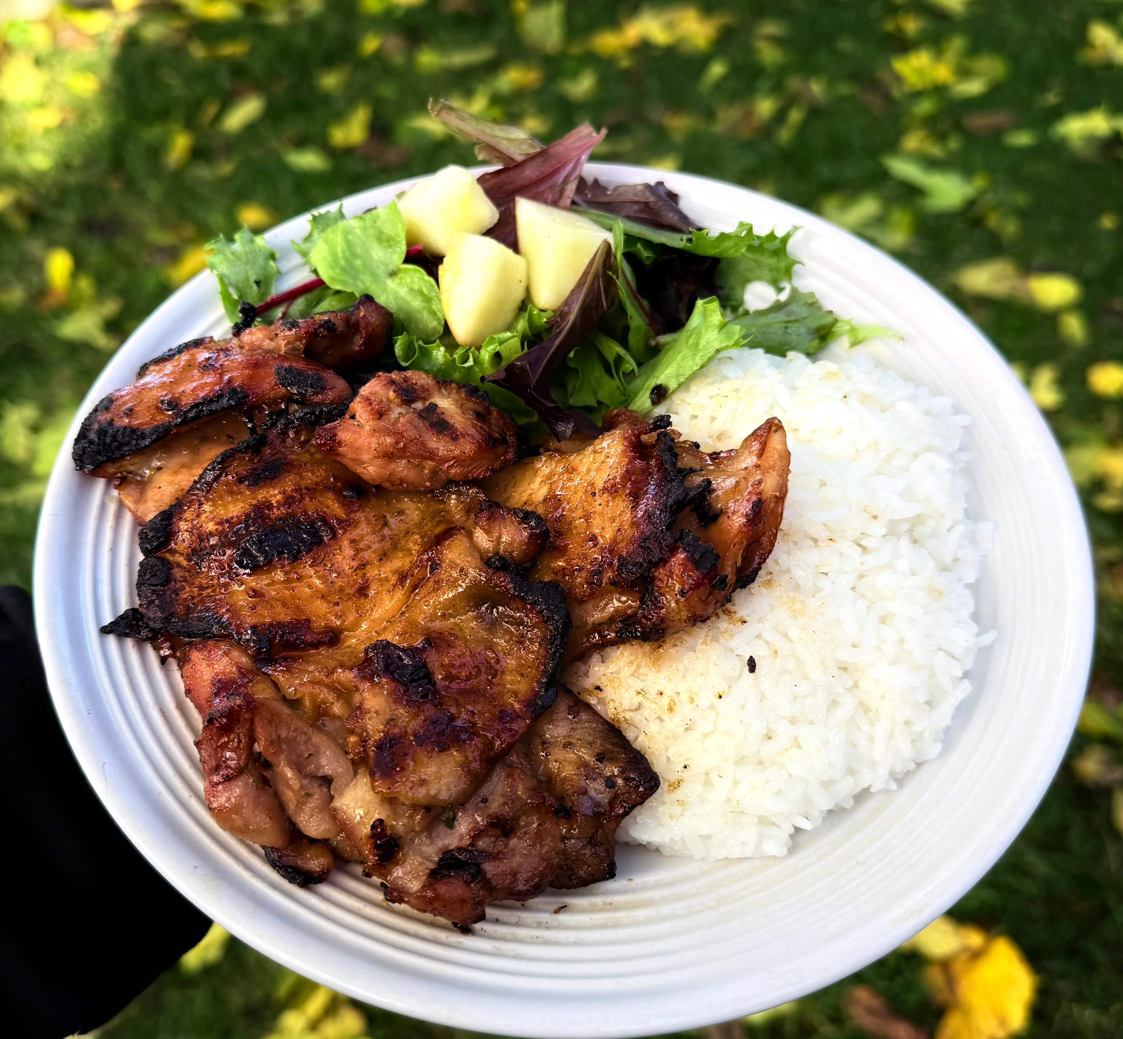 Grilled chicken thigh plate with rice and salad, a popular Asian dish