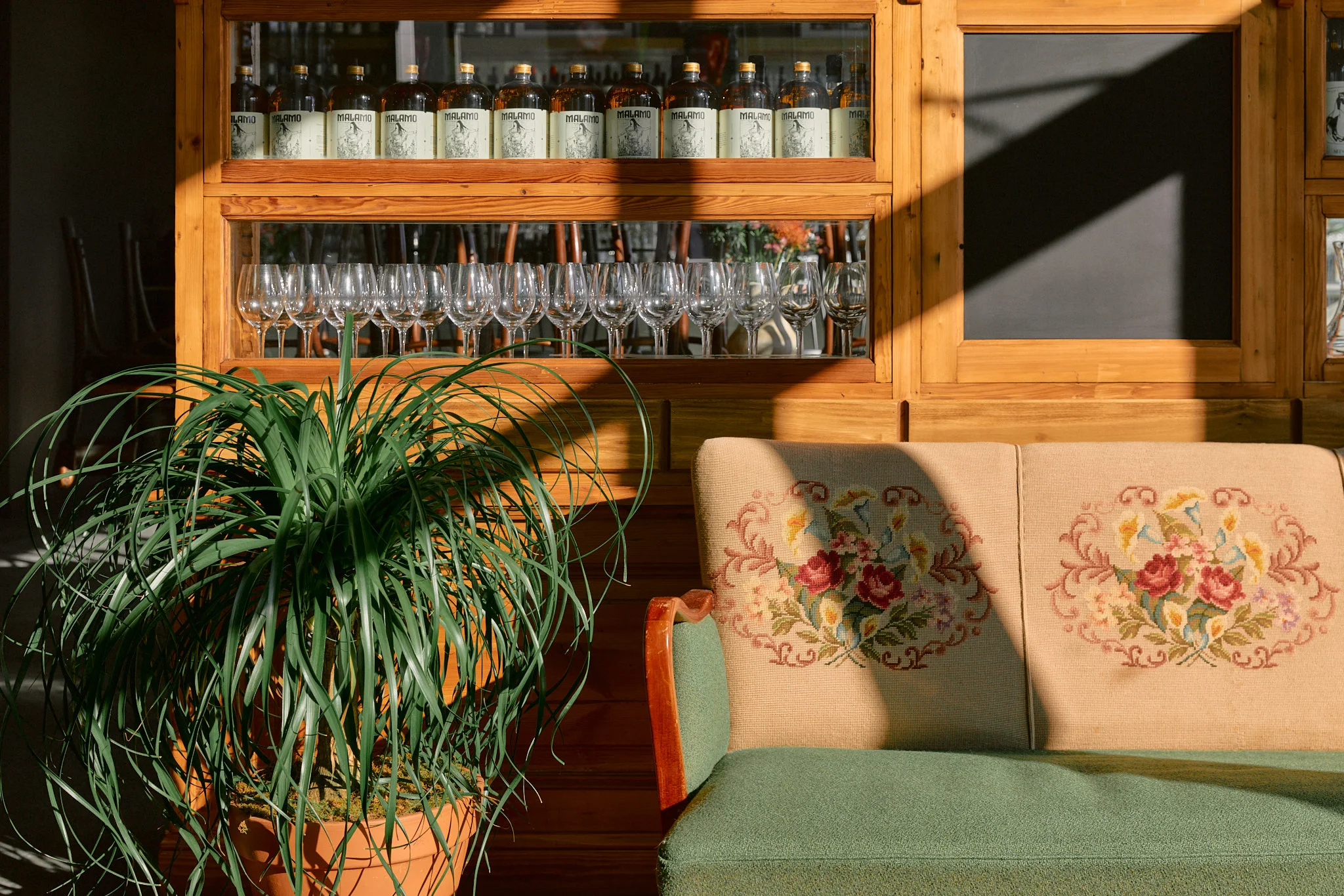 Cozy restaurant interior with wooden shelves and a green plant