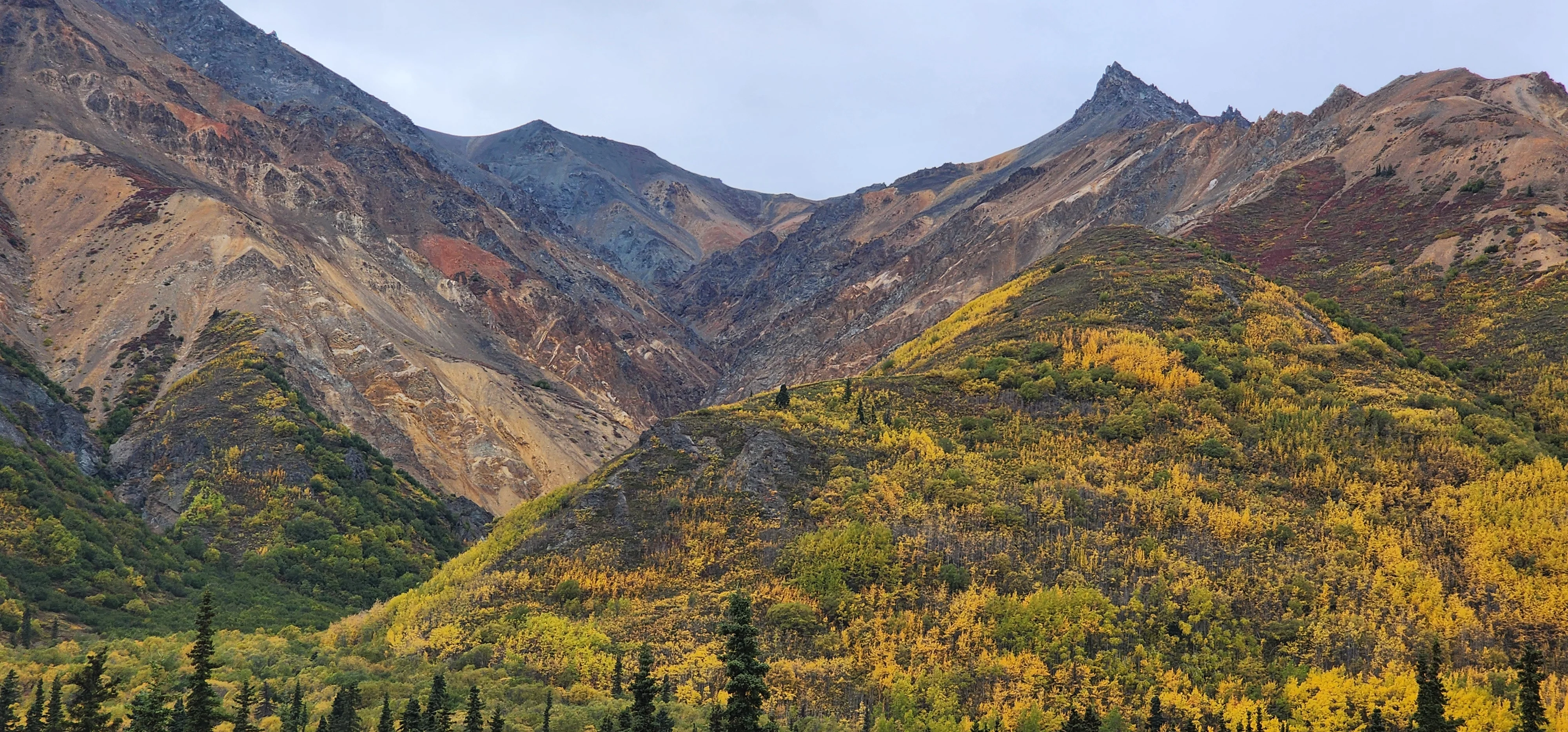 Scenic mountain landscape with autumn foliage in Alaska
