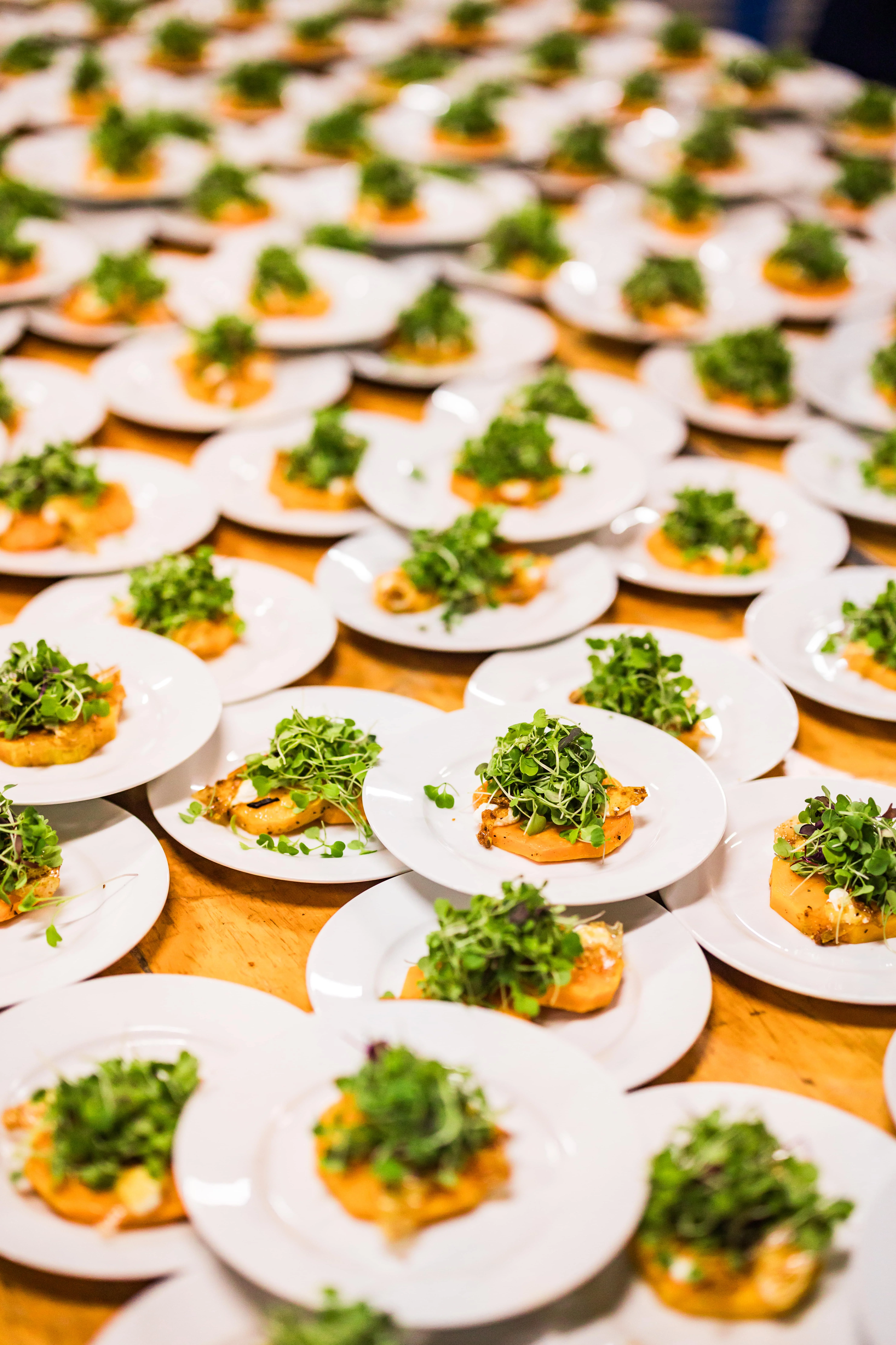 Plated microgreens salad with smoked salmon