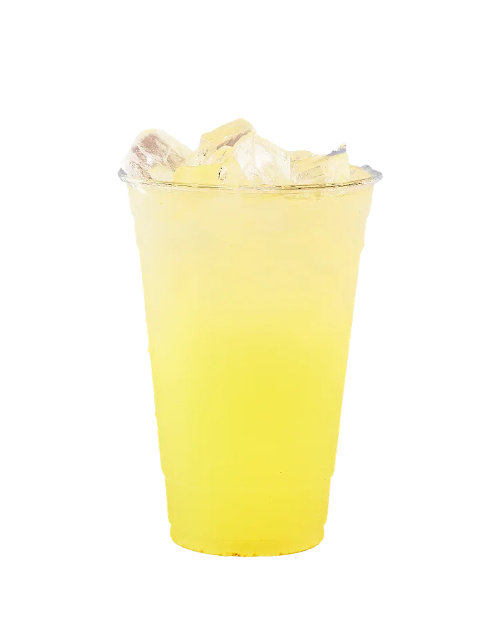 REG SQUEEZED LEMONADE 20oz