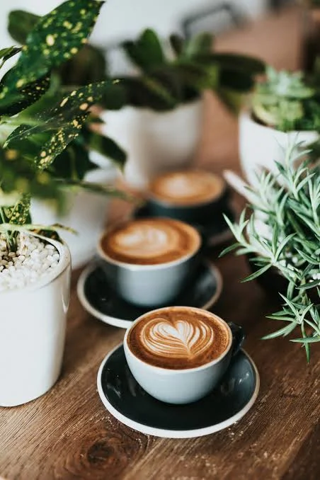 Artisan coffee cups with latte art surrounded by greenery