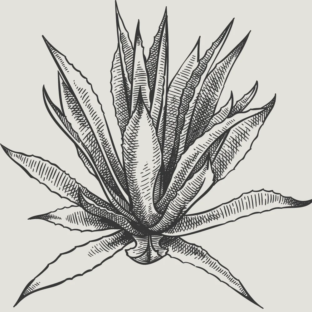 Welcome image 1
