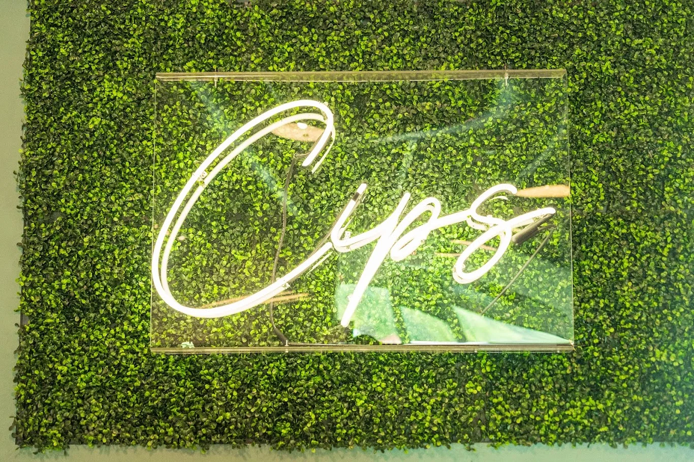 Neon sign reading 'Cips' on a green wall