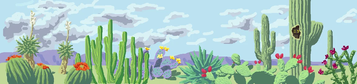 Colorful desert landscape with various cacti and flowers