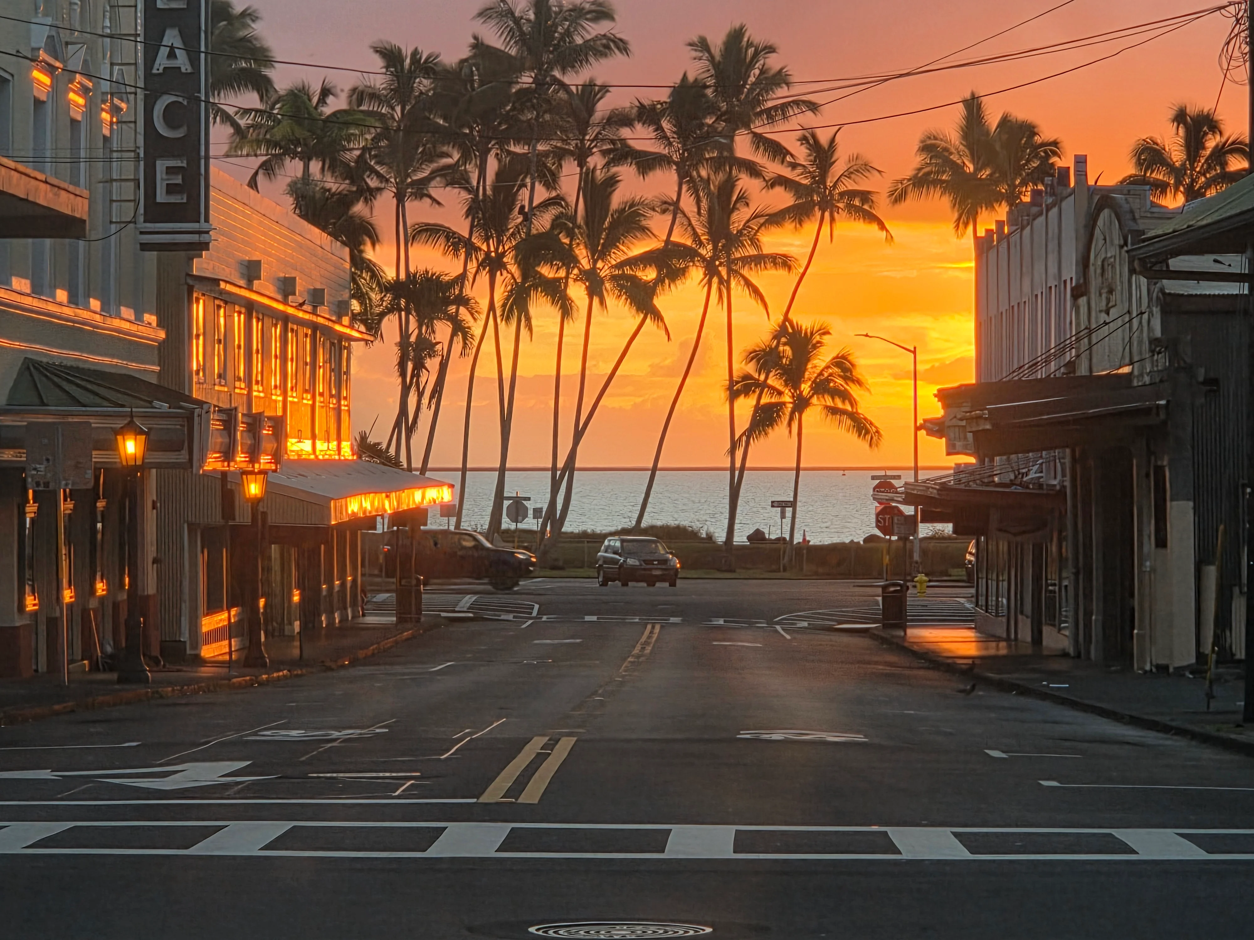 Sunset view over a quiet street lined with palm trees