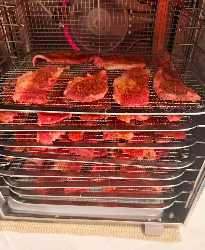 Dehydrated lemon slices in a food dehydrator for culinary use