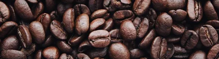 Close-up of roasted coffee beans for brewing