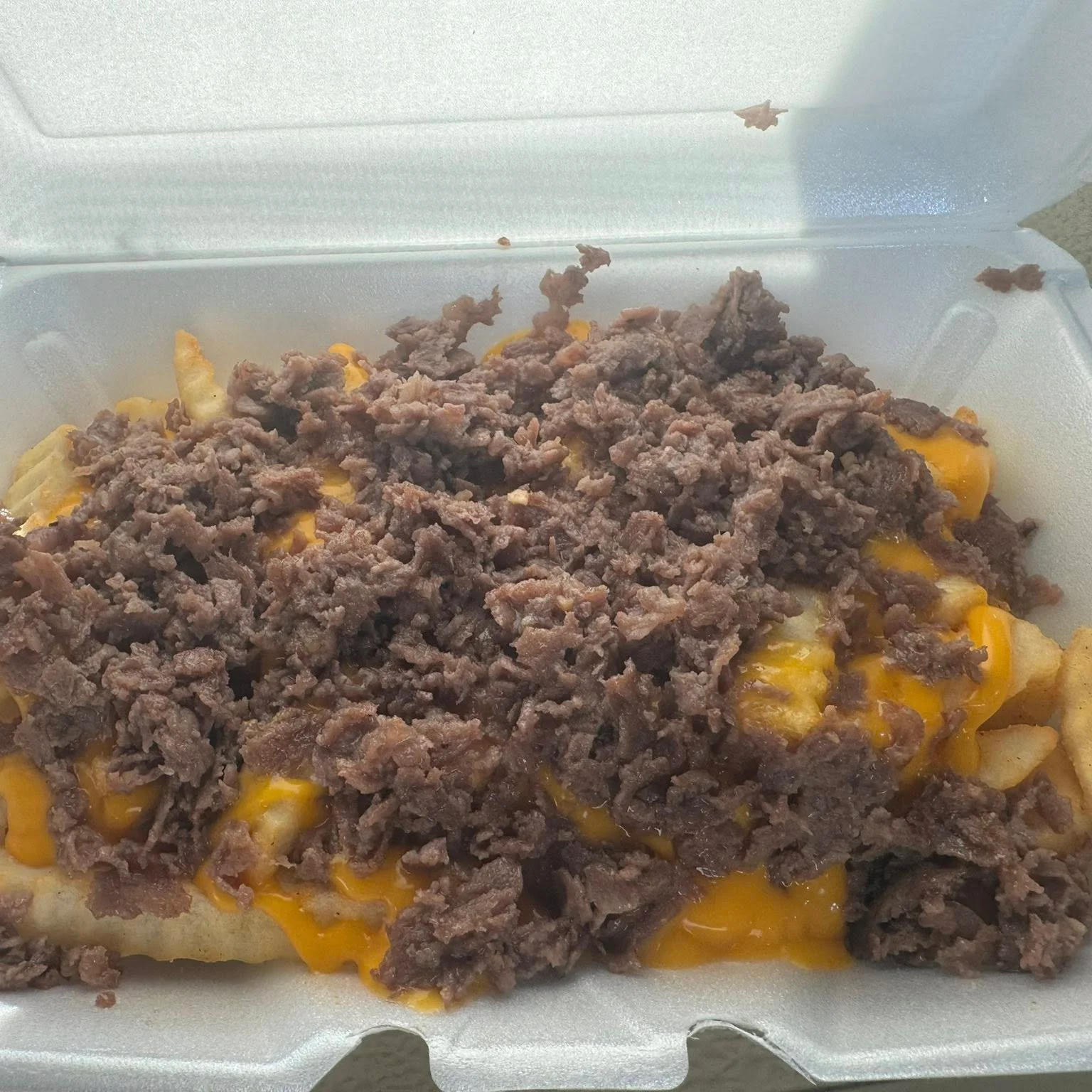 Delicious loaded fries topped with cheese and toppings
