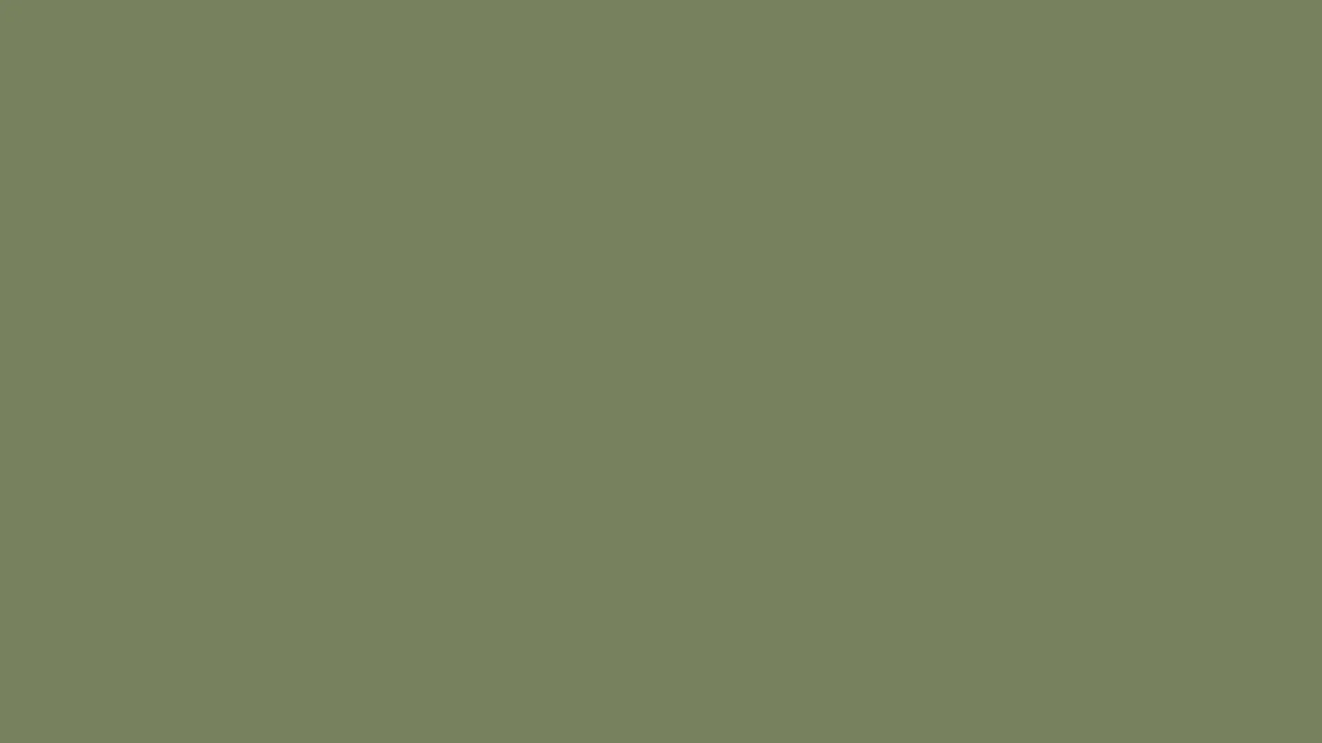 Vibrant green background for restaurant branding