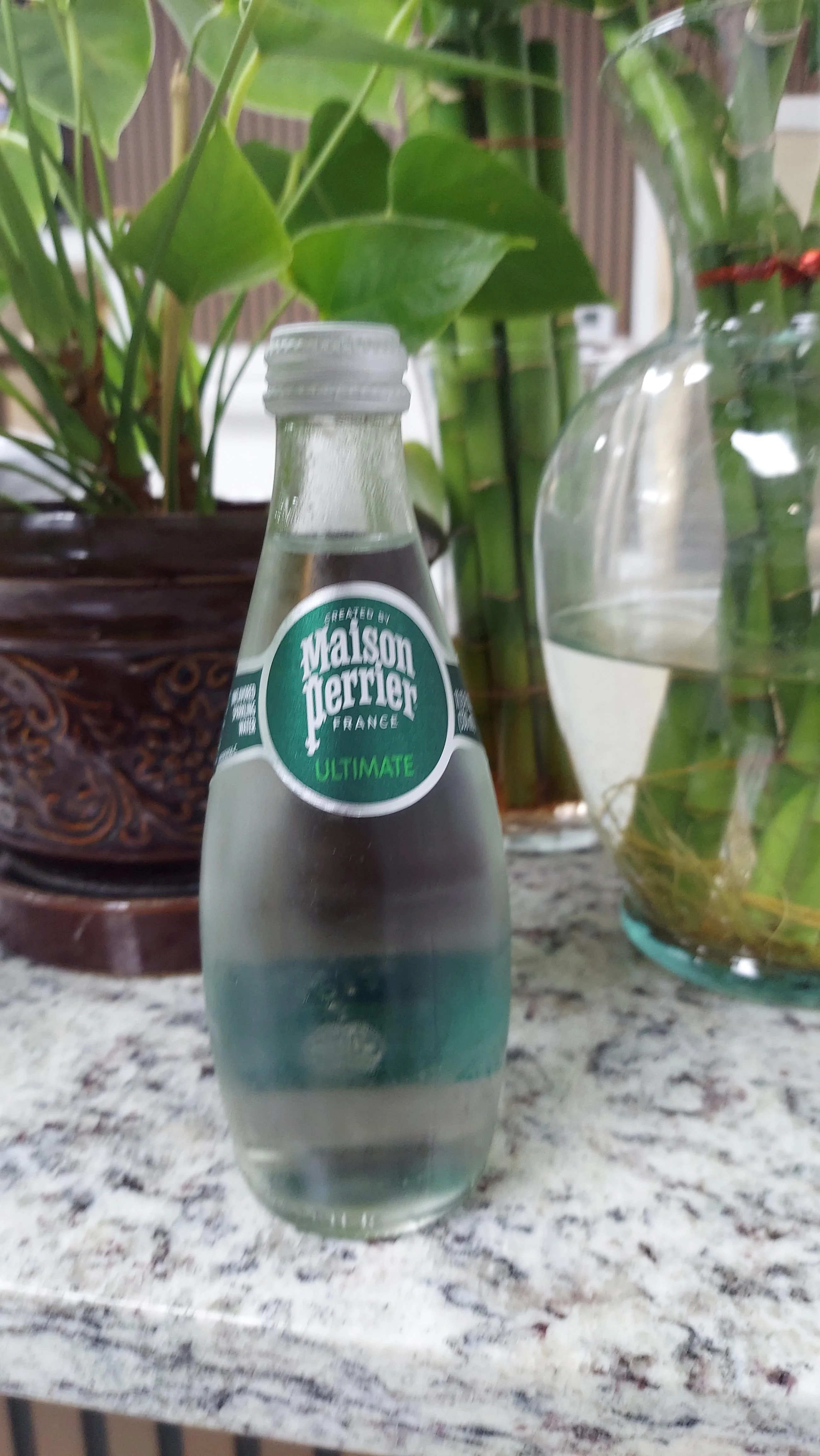 A glass bottle of sparkling water with a label, set against a backdrop of green plants.