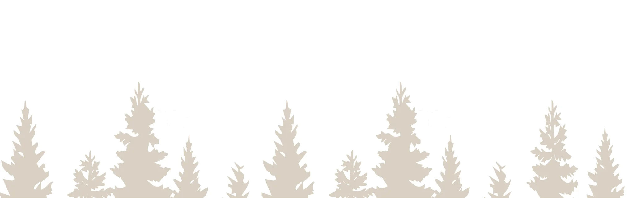 Silhouette of evergreen trees against a white background