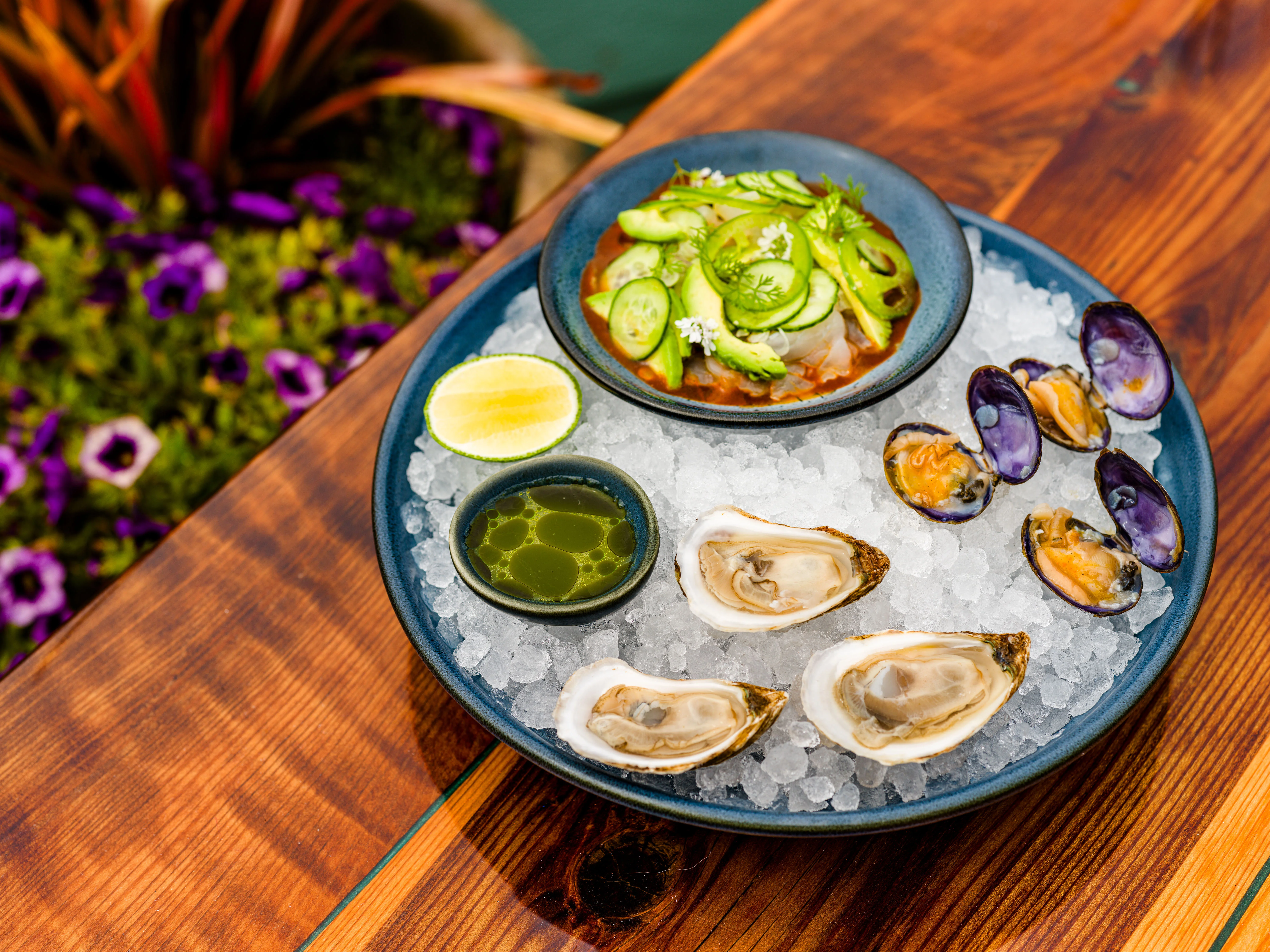 Fresh seafood platter with oysters and ceviche