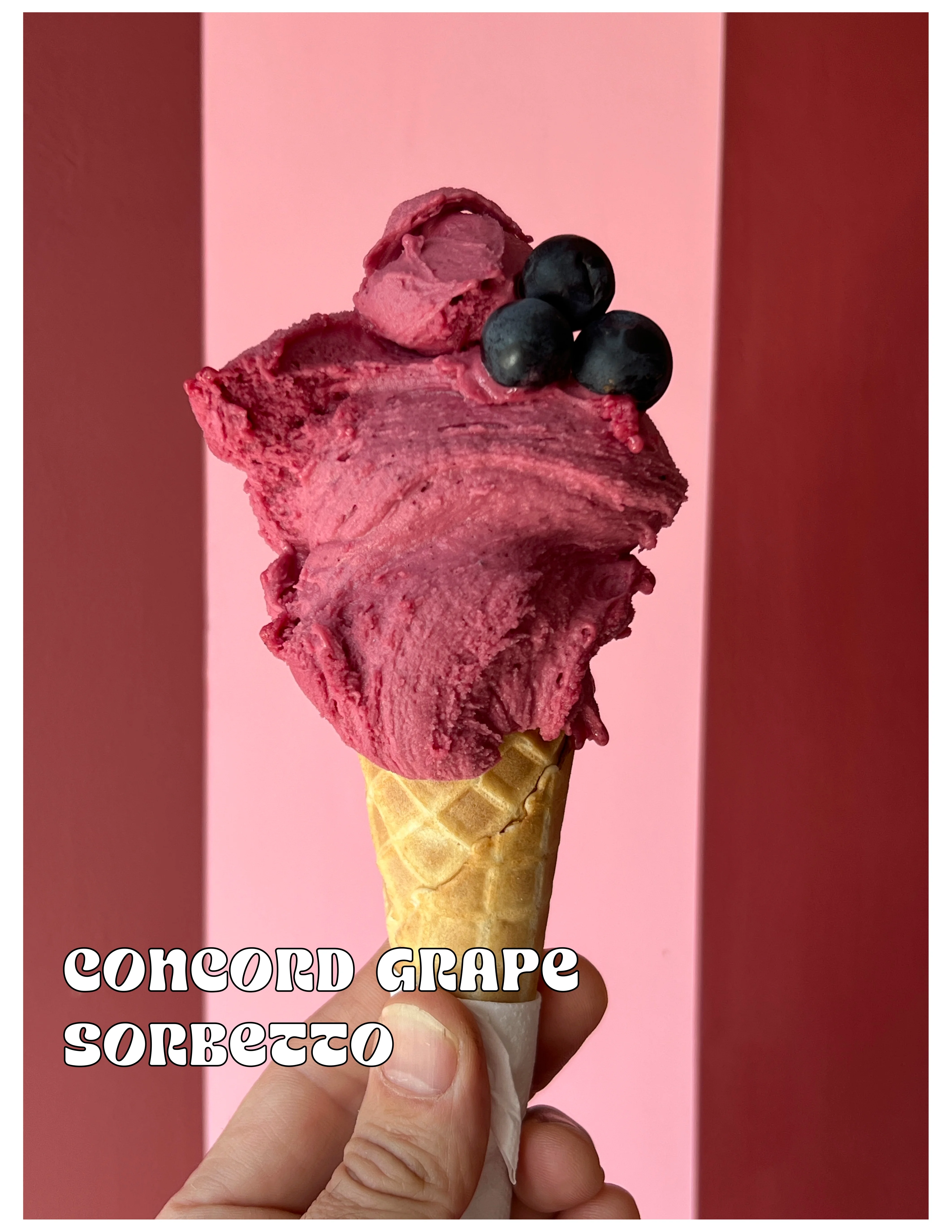 Cocord grape sorbetto served in a waffle cone