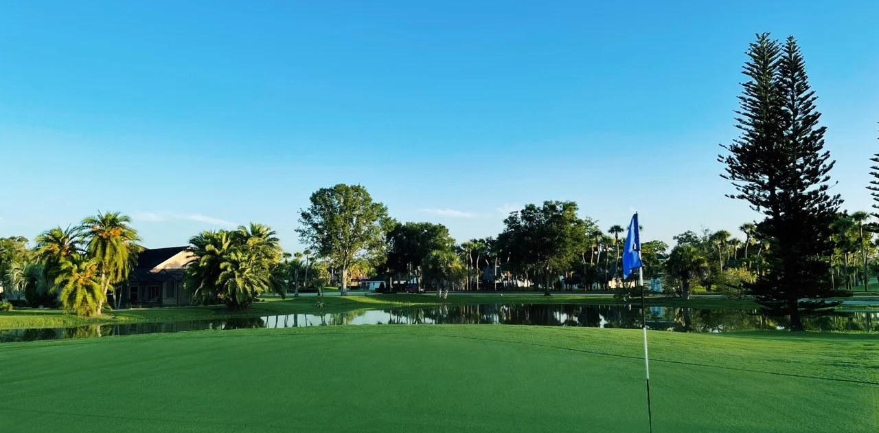 Scenic golf course view with palm trees and a pond