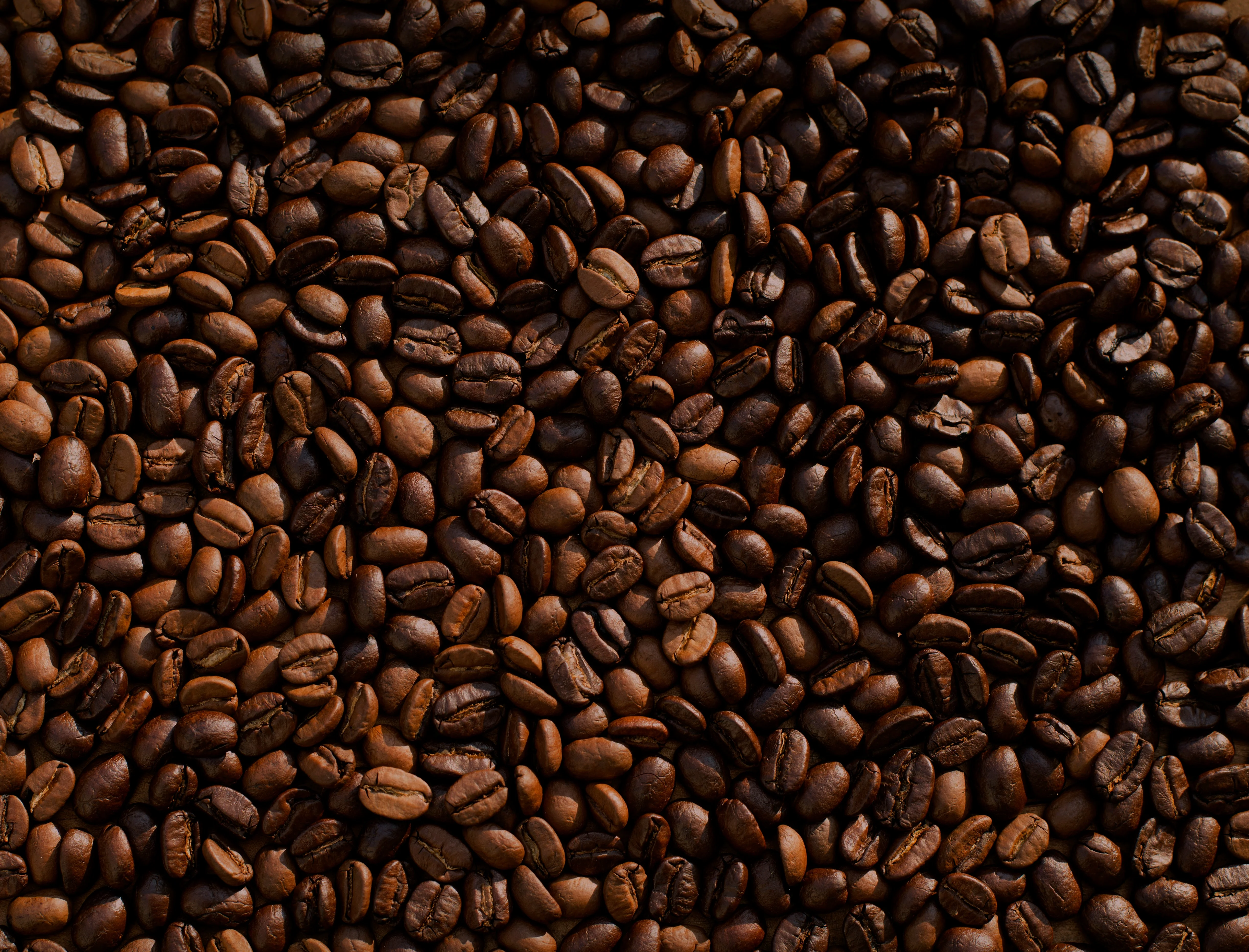 Close-up of roasted coffee beans in various shades of brown