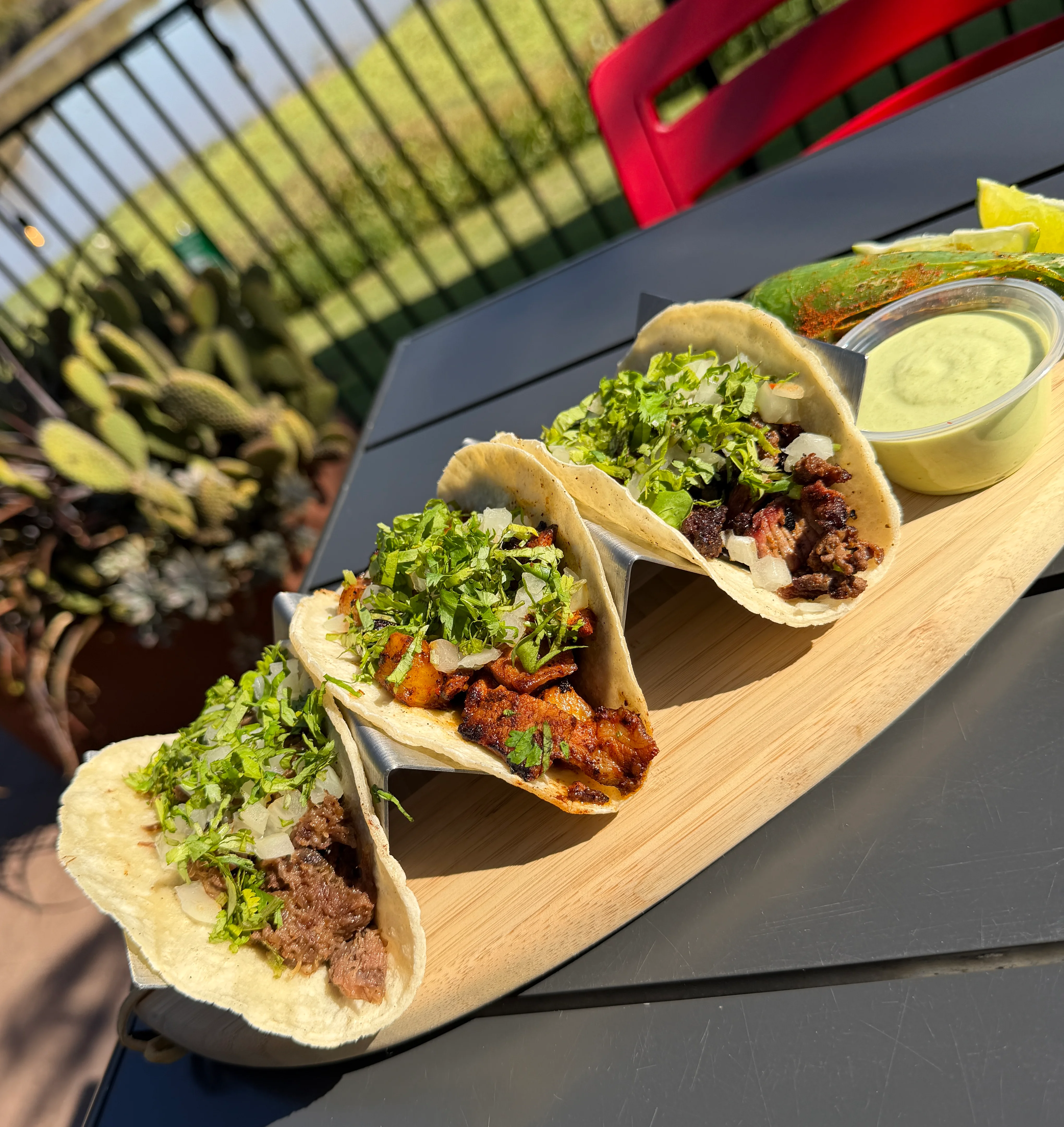Tacos on the Patio at Pacific Coast Tacos Houston and Sugar Land