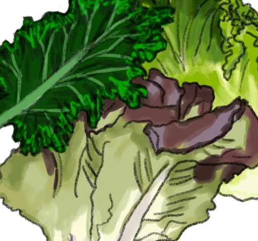 Kale Salad