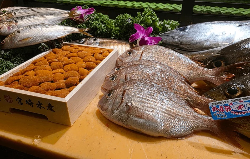 Fresh whole fish and a tray of Hokkaido uni from Japan at the Mahzu East Windsor sushi bar