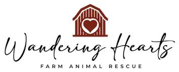 Wandering Hearts Farm Animal Rescue logo with barn and heart design